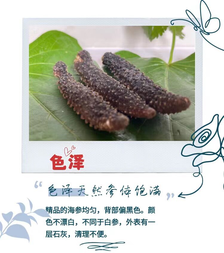 Wild Indonesian Black Sea Cucumber Holothuria Dried Seafood 500g High Rehydration Rate for Cooking quality and texture
