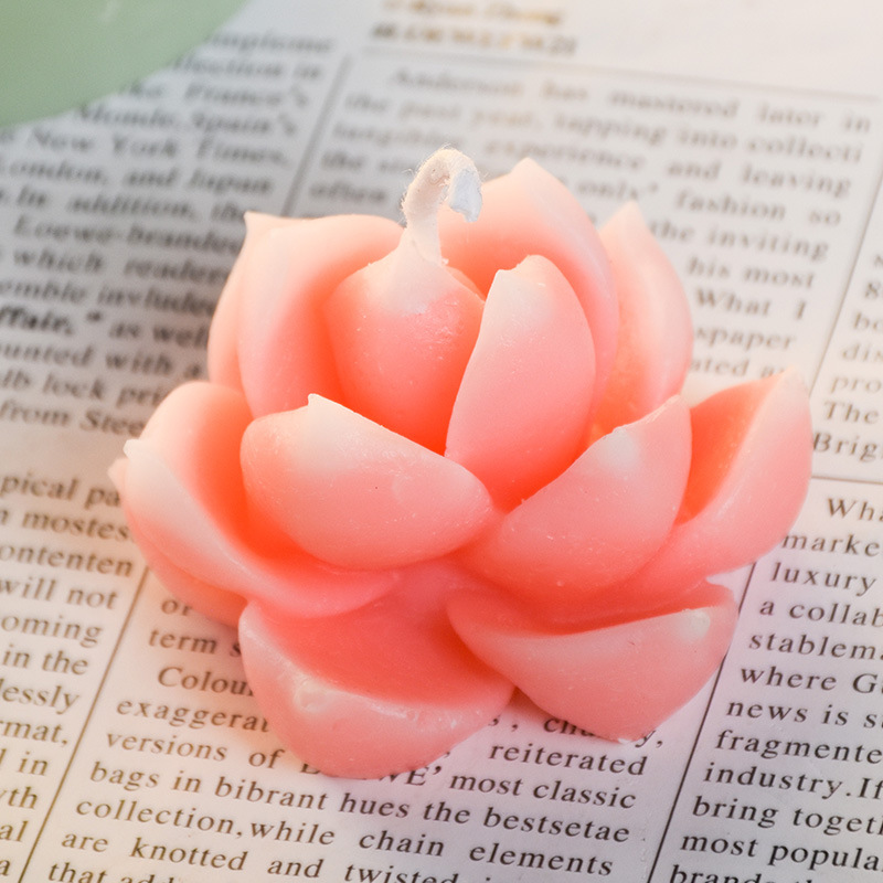 Plantas suculentas flores vela decoración del hogar en el viento regalos de boda regalo de navidad ideas de cumpleaños