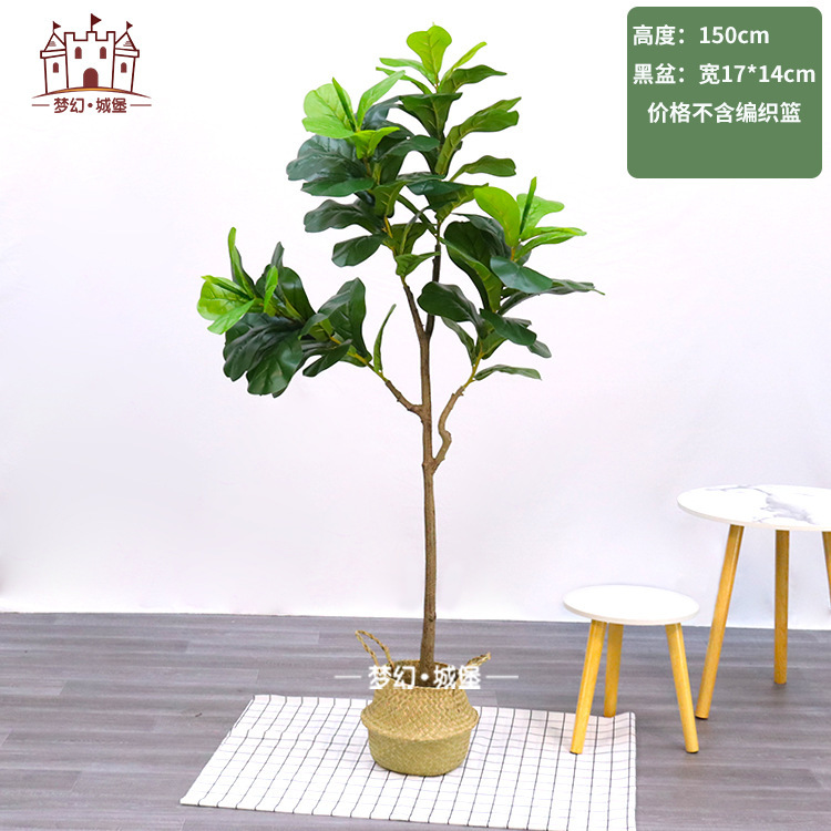 Simulación de plantación verde de plátano de bambú de tortuga grande planta de plantación de ventana interior diseño de ángulo de planta de árbol falso paisajístico