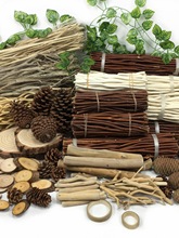 �׃��@�ֹ��h������ɭ��ϵ�h�����à����b��زĸɘ�֦�ɹ��ɻ���