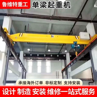 定制10吨欧式单梁起重机 建材厂钢结构厂房吊装航吊电动单梁行车
