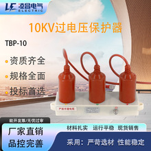���10/35KV������Ϲ���ѹ������TBP-A-12.7F/131 TBP-B-42F/310