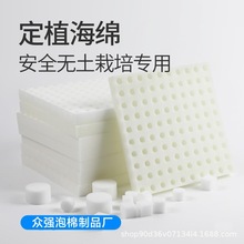 有机蔬菜栽培海绵批发 定植海绵无土吸水培育种植棉 PU种植海绵