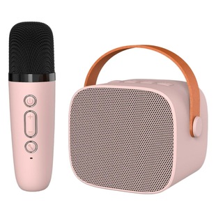 Portable wireless karaoke bluetooth speaker plug-in card type, wireless bluetooth colorful LED