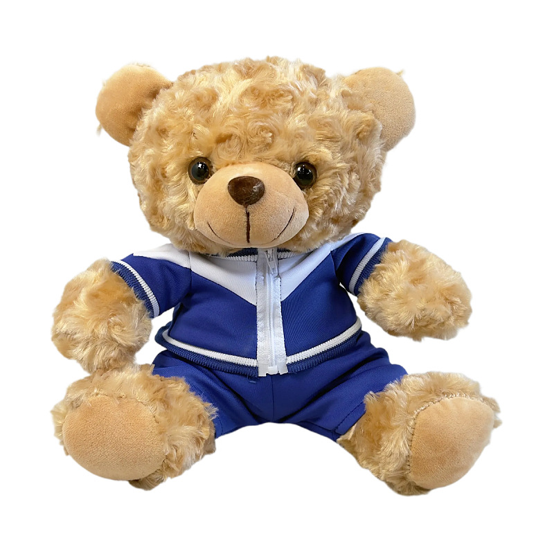 Uniformes escolares impresión de muñecas LOGO Wenchuang periferia regalo de graduación conmemorativo impresión de oso de peluche