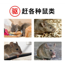 ���R�d�羳�������X������ֲ�ﾫ�������x������x�����