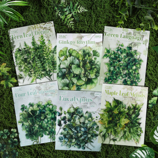 ɭ���~Ӱϵ��PET͸����ˮ�N�����͹�ins�L���~�b��N��diy�ز�