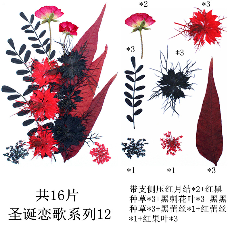 크리스마스 사랑 노래 시리즈 12