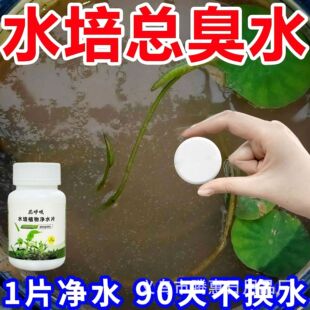ˮ��ֲ���ˮƬˮ�عܵ��������ˮ�|�r�����L���ڱ��r��ˮ��ͨ��