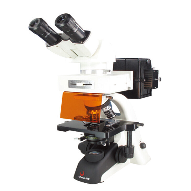 凤凰专业显微镜生物细胞组织中路遗传免疫 PH100-YG1 荧光(双目)