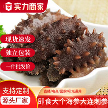 参茸特产批发海参辽参刺参散装包装即食食品养生礼盒美食生鲜冷冻