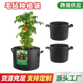 毛毡种植袋 无纺布毛毡种植桶植树袋无纺布袋黑色育苗营养植物袋