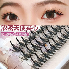 צ~ëٽëԼ޽ӝܻɶwAĿȻNֲNδ