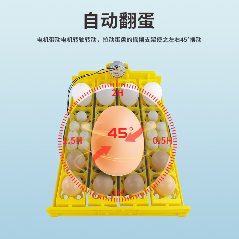 Automática pequeña incubadora doméstica 24 multifunción de pollo, pato y huevo de ganso placa 104 Placa de huevo de pájaro con motor