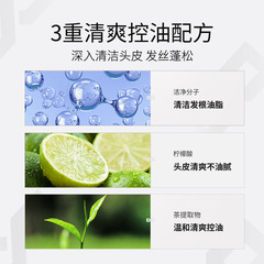 Left color right color fluffy fragrance shampoo wholesale refreshing oil control anti-dandruff anti-itch men's special shampoo