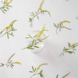 干花;相框、画框;贺卡