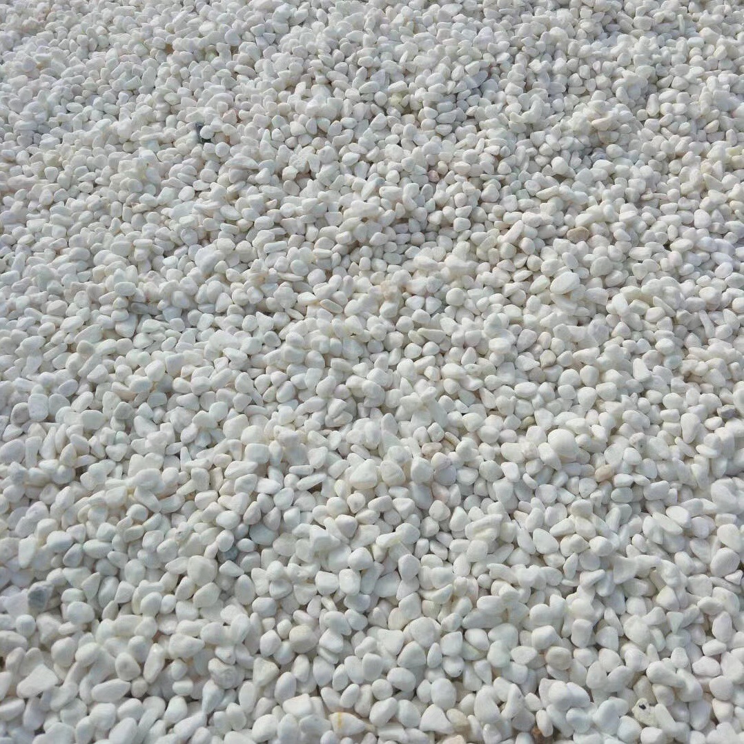 mmexport1600415405565_edit_213