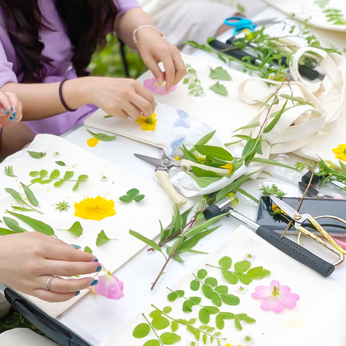Plant Beat Dye Canvas Bag Material Set Mid-Autumn Gift Kindergarten Handicraft DIY Printing Hammer Beating Dyeing Tools