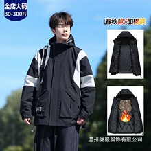 ���b�������ﶬ���Ʀ�����Lins�������e�Bñ��a�_�h�A���l