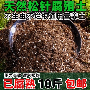 Pine Needle Humus Soil Fermented Pine Needle Soil for Clivia and Succulents Special Peat Nutrient Soil for Flower Plants Universal Type