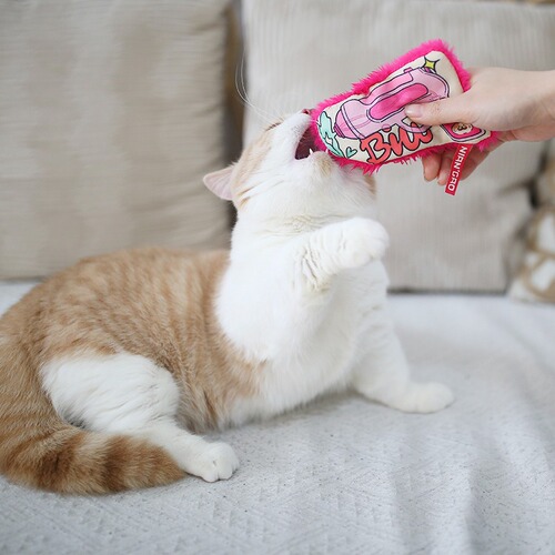 Sweet and Cool Girl Catnip Cat Toy with Sound, Durable, Self-Having, Dental Grinding Magic Tool