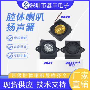 ǻ�w���� 2828 2831 ����С����ǻ�����P�� �����Z����̨����