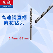 东成新款电动工具附件高速钢直柄麻花钻头6.7-13单支