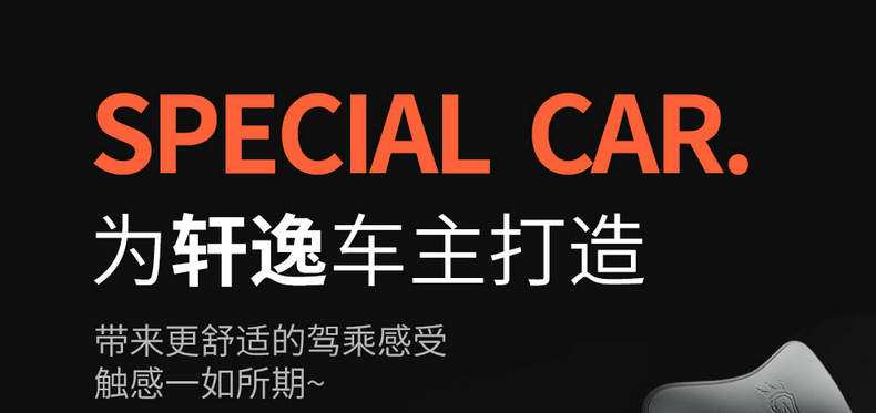 [Cross-border] exclusive for Nissan Sentra 20-24 Nissan Xuanyi special car seat cover all-inclusive cushion