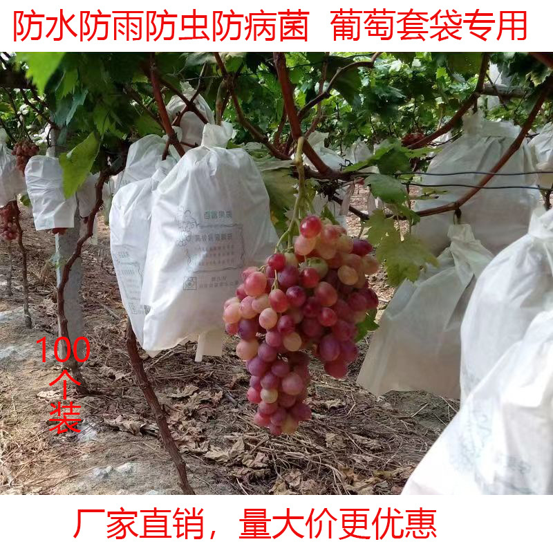 84b84d7a00884de97b093afbf643ec