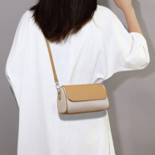 包包女新款百搭高级斜挎包小众设计真皮单肩枕头包迷你小包箱包