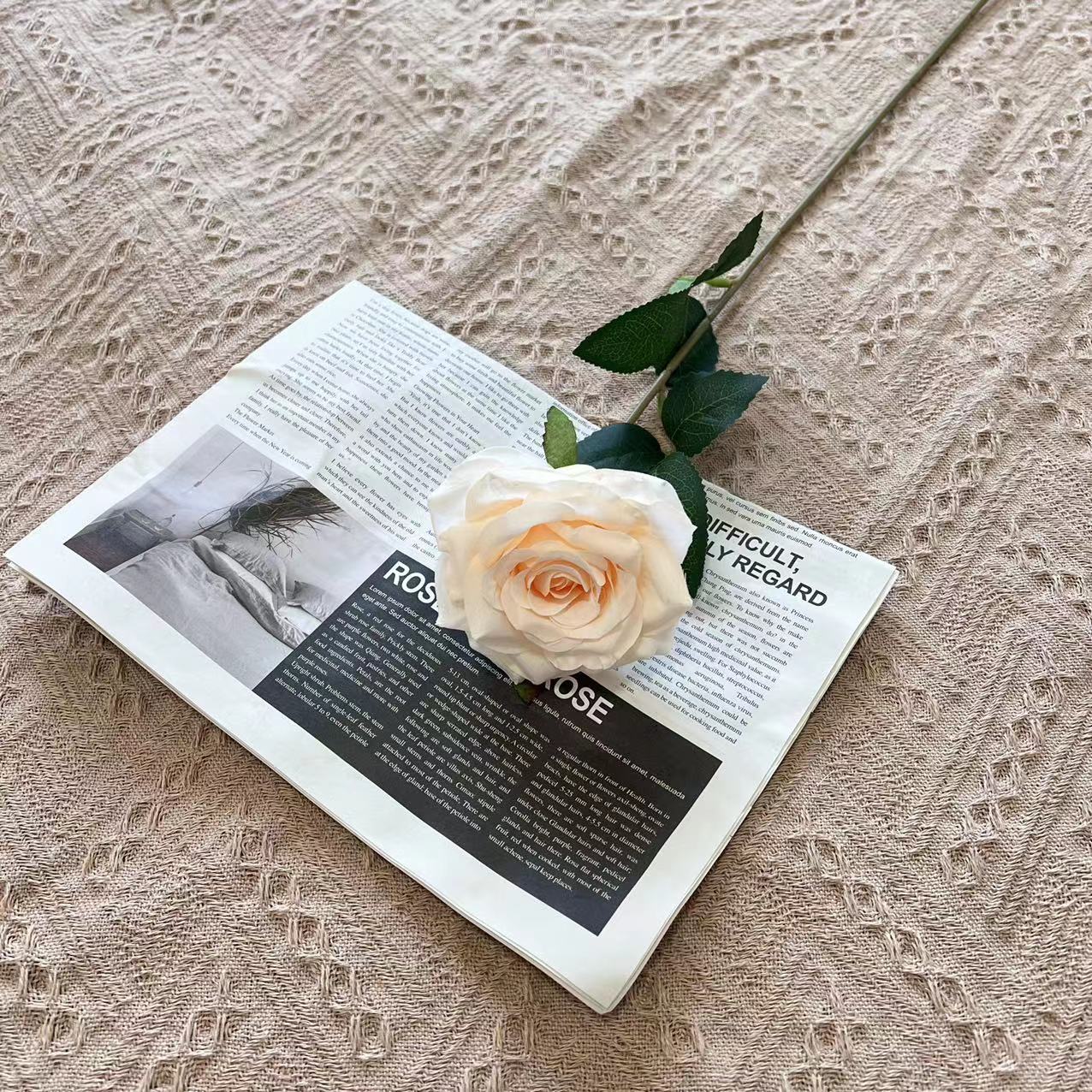 싱글 로즈-샴페인