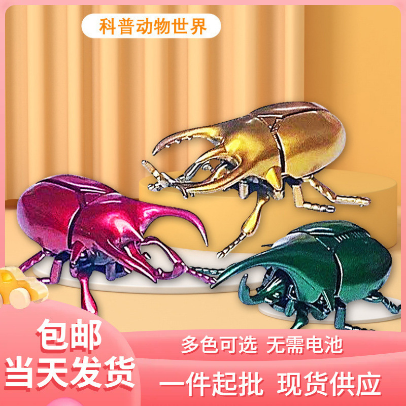 爆款机械发条独角仙昆虫小玩具儿童电动仿真爬行甲虫玩具模型批发|undefined