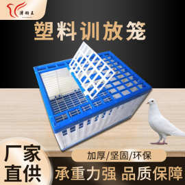 鸽子训放笼信鸽塑料专用放飞笼折叠运输报道家用品具大全赛鸽鸽笼