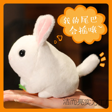 �uβ�͵�С�������K�}��ë�q�����Ů����ż�D�ӹ����������նY��