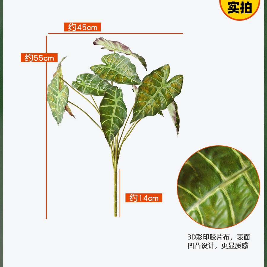 9 aloe leaves light green