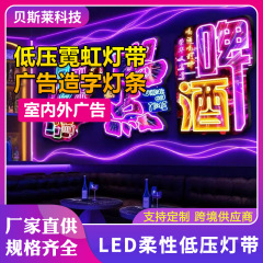 LEDフレキシブルライトストリップライトストリップ装飾ライトカラフルなシリコーンアクリルカラフルなネオンライトストリップライン装飾ワード
