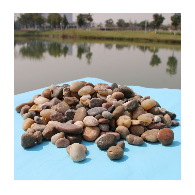 Ȼƶʯ3-10cm | ̬+ʯ ˮϵר