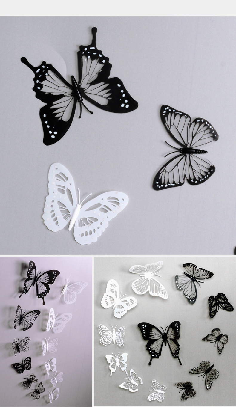 黑白蝴蝶详情_07.jpg