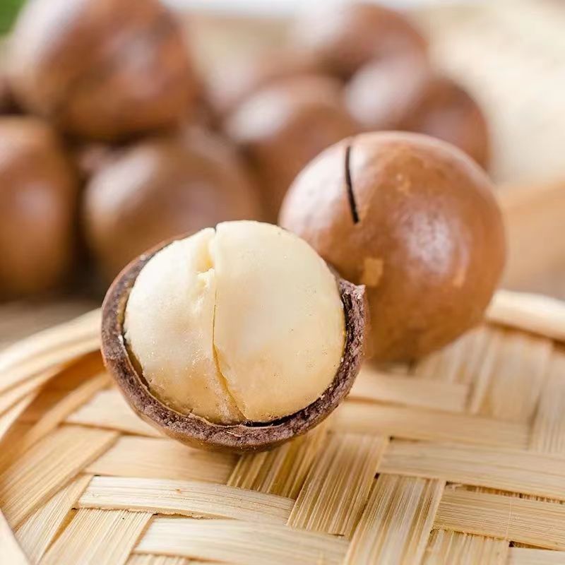 Macadamia Nuts【Dropshipping】Large Creamy Flavor 100g/150g/250g New Year Snacks Macadamia Nuts