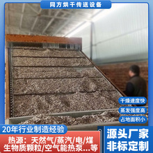 加工定制葵花籽烘干机 自动化大型白瓜子干燥机 核桃干果烘干设备