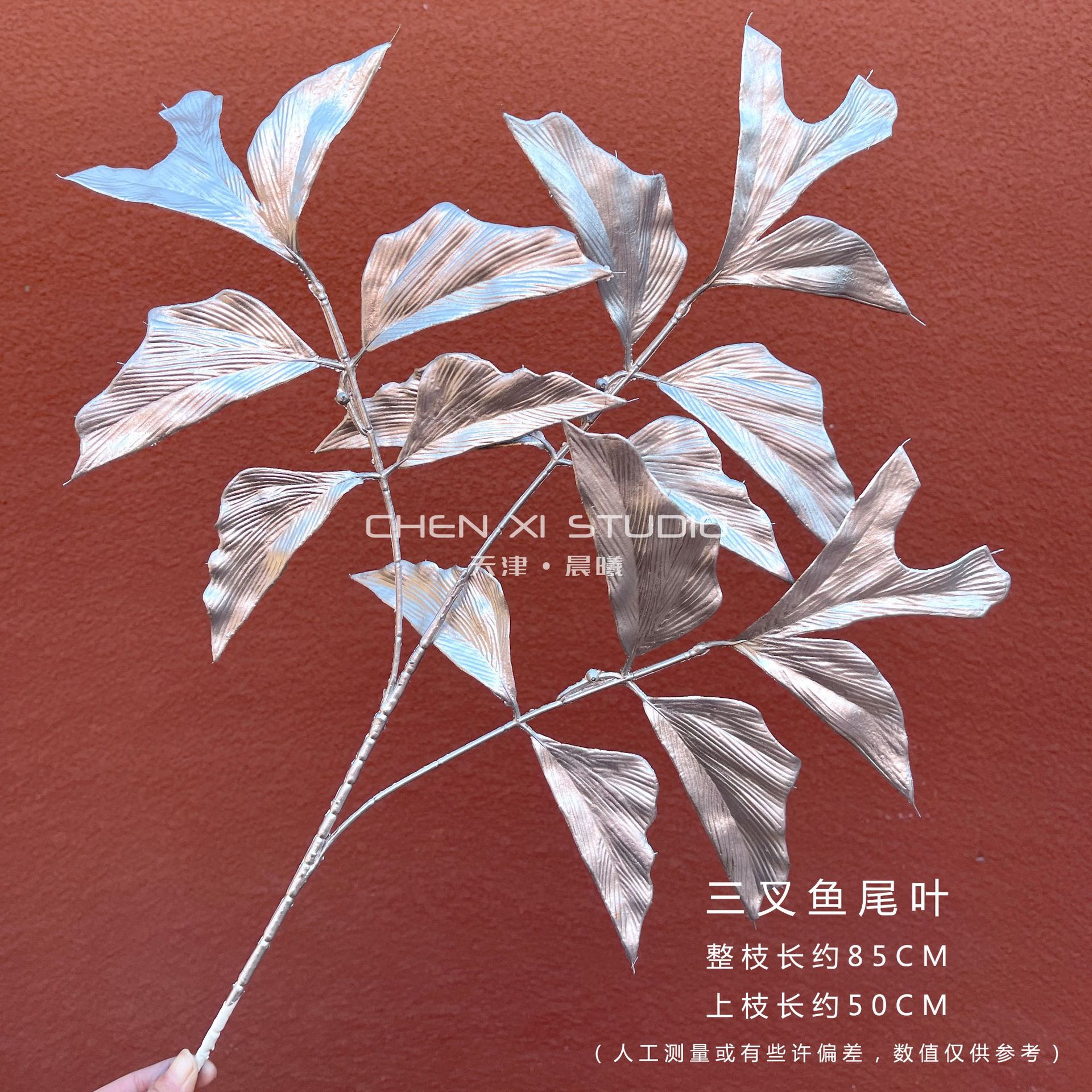 물고기 꼬리 잎