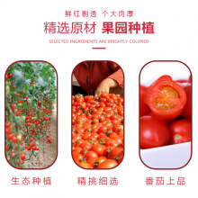 小西红柿番茄干圣女果干小零食蜜饯蓝莓李果新鲜果脯酸甜可口批发