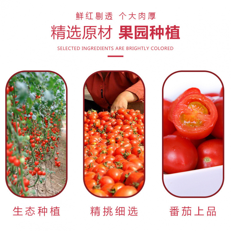 小西红柿番茄干圣女果干小零食蜜饯蓝莓李果新鲜果脯酸甜可口批发