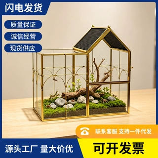 欧式房屋玻璃生态缸爬宠饲养盒昆虫蜘蛛微景观造景花房现货批发