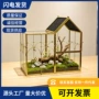 景观欧式房屋昆虫花房