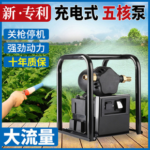 High-power rechargeable vegetable water pump outdoor agricultural irrigation water pump 12V high-pressure water pump large-flow water pump