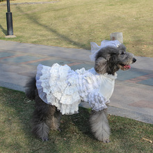 ȮȹYƌ鼆ȹƏSҌԴ^b