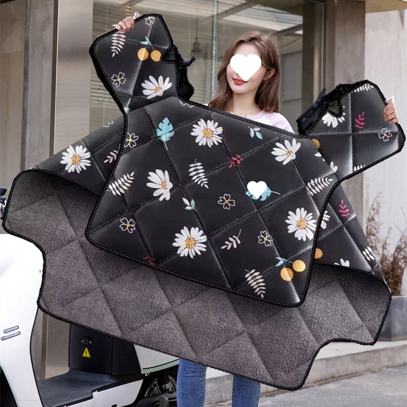 冬にベルベットをつけて保温して、電気自動車の防水防風服三輪スクーターの防風カバーを厚くする|undefined