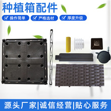 �̨�N���� ���@����������Nֲ����� �Ȱ������Nֲ��M�����
