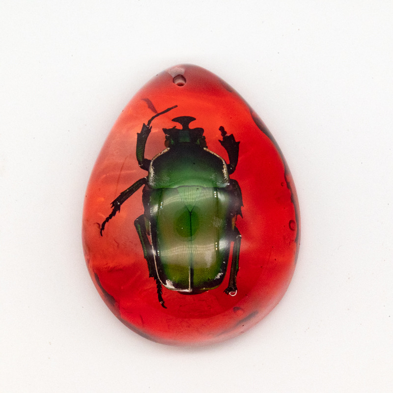 붉은 황금 거북